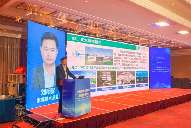 Shanghai Zhengcheng ??????????????????????????????????????????????????????????????????????????????????????????